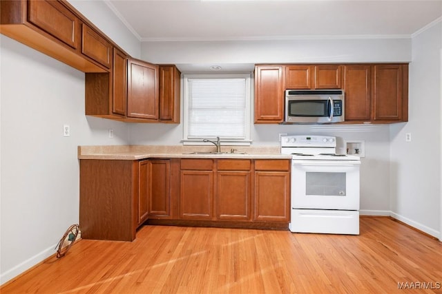 kitchen with sink, crown molding, light hardwood / wood-style floors, and white range with electric stovetop