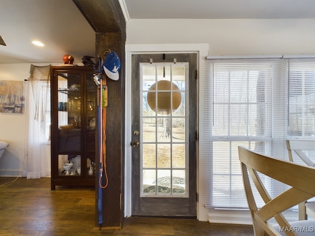 doorway featuring dark wood-type flooring and plenty of natural light