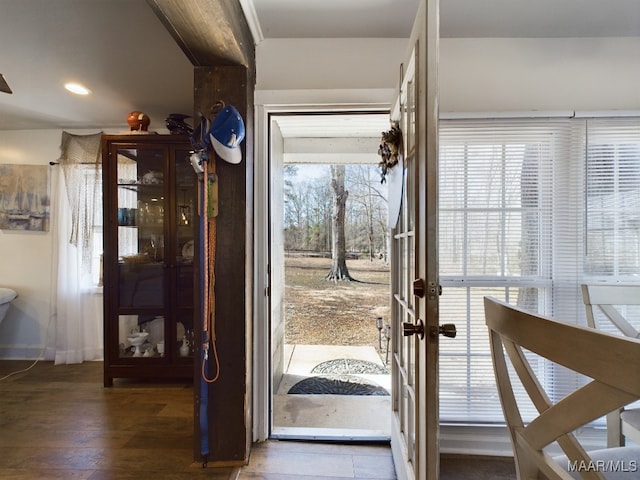 entryway with dark wood-type flooring