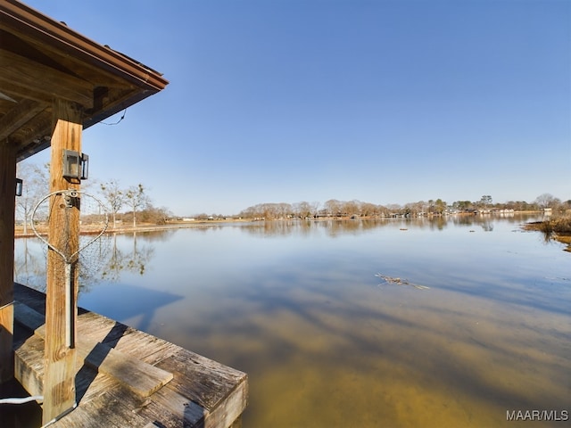 dock area featuring a water view