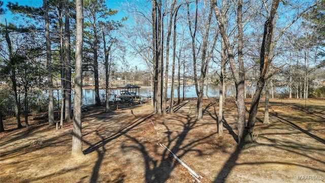 view of yard featuring a water view