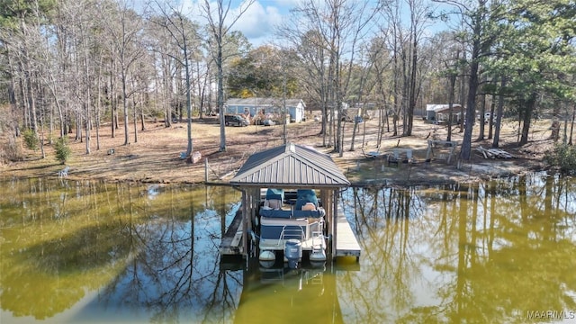 dock area with a water view