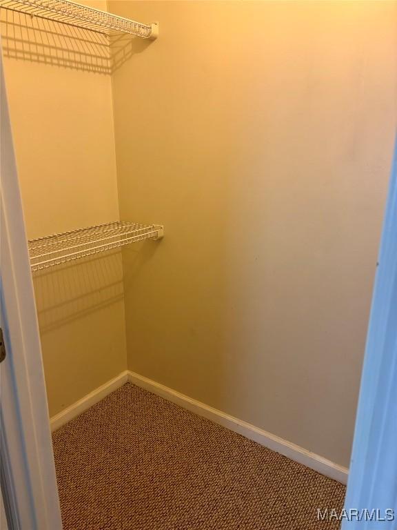 walk in closet featuring carpet flooring