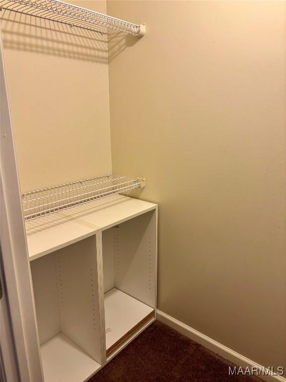 view of closet