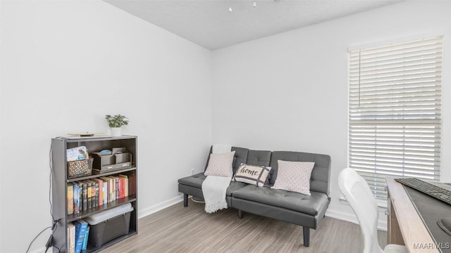 sitting room with light hardwood / wood-style flooring