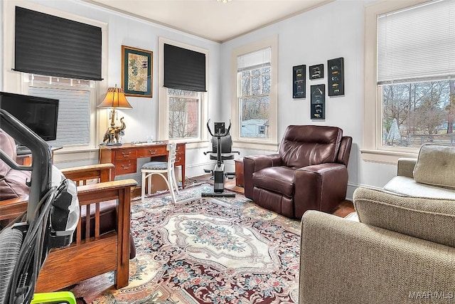 living room with crown molding and wood-type flooring