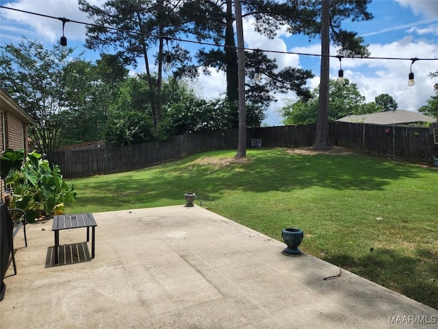 view of yard featuring a patio area