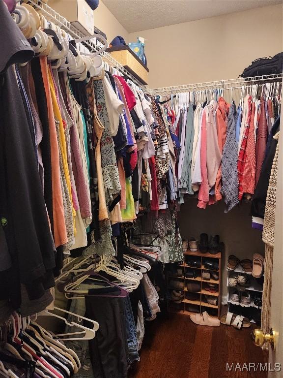 walk in closet featuring hardwood / wood-style floors