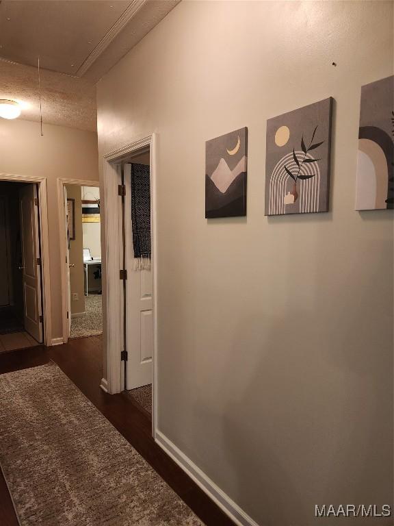 hall featuring dark wood-type flooring