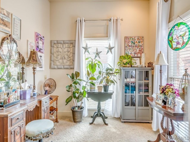 interior space with light colored carpet