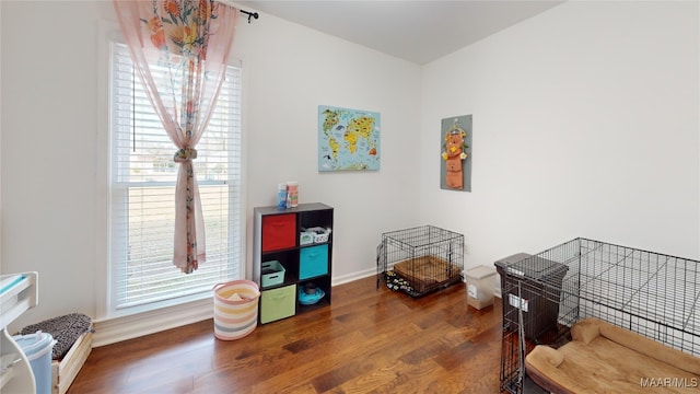 misc room with wood-type flooring and plenty of natural light