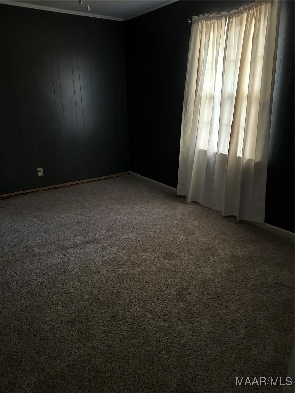 spare room featuring carpet flooring