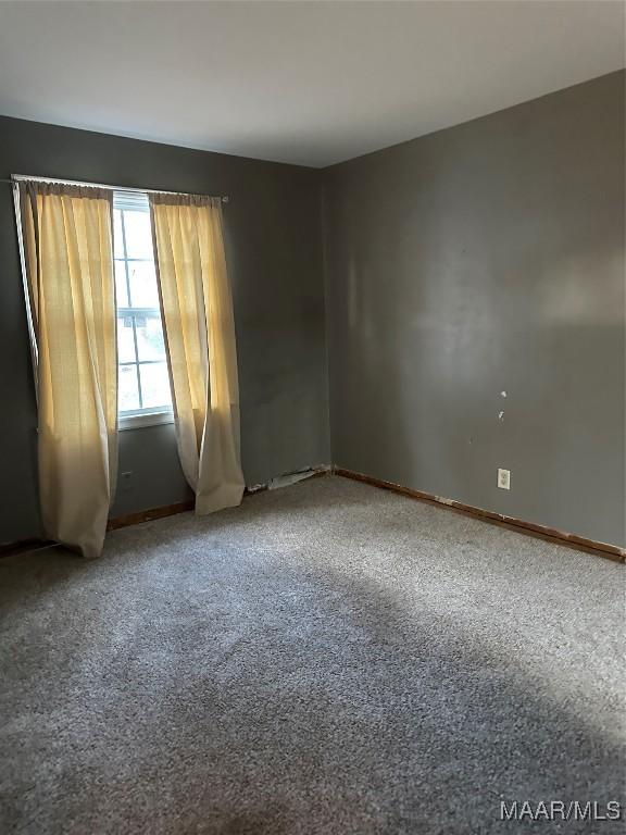 empty room featuring carpet floors