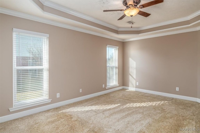 spare room with crown molding, a raised ceiling, ceiling fan, and carpet