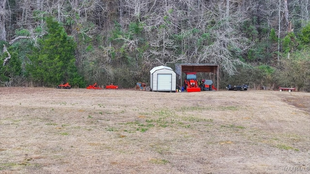 view of yard with a storage unit