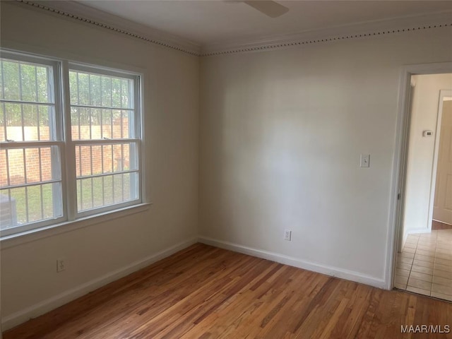 empty room with light wood-style floors, ceiling fan, and baseboards