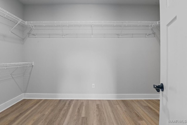 116 Madix Dr, Eclectic, AL 36024 - spacious closet featuring wood finished floors