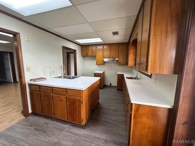 kitchen featuring sink, a paneled ceiling, and dark hardwood / wood-style flooring