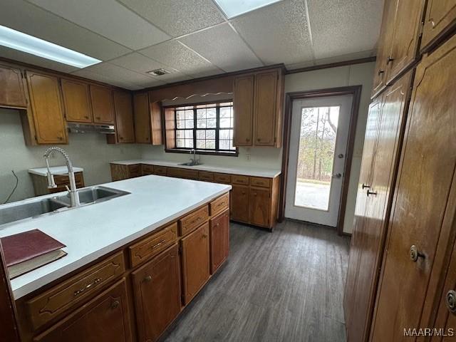 kitchen featuring dark hardwood / wood-style floors, sink, and a drop ceiling