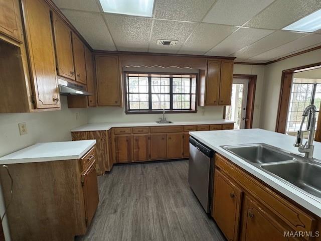 kitchen with sink, dark wood-type flooring, dishwasher, and a paneled ceiling