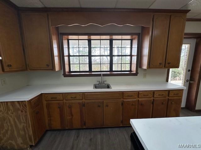 kitchen featuring dark hardwood / wood-style flooring, sink, and a drop ceiling