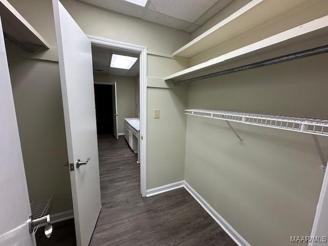 walk in closet featuring dark hardwood / wood-style floors and a drop ceiling