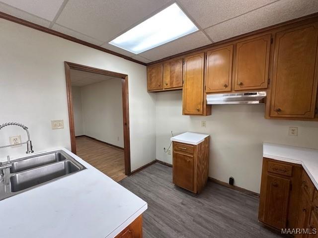 kitchen with sink, a drop ceiling, and dark hardwood / wood-style flooring