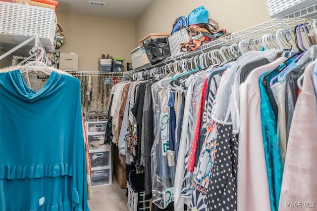 spacious closet featuring carpet