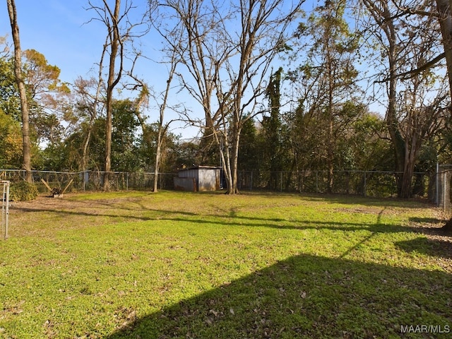 view of yard with a storage unit