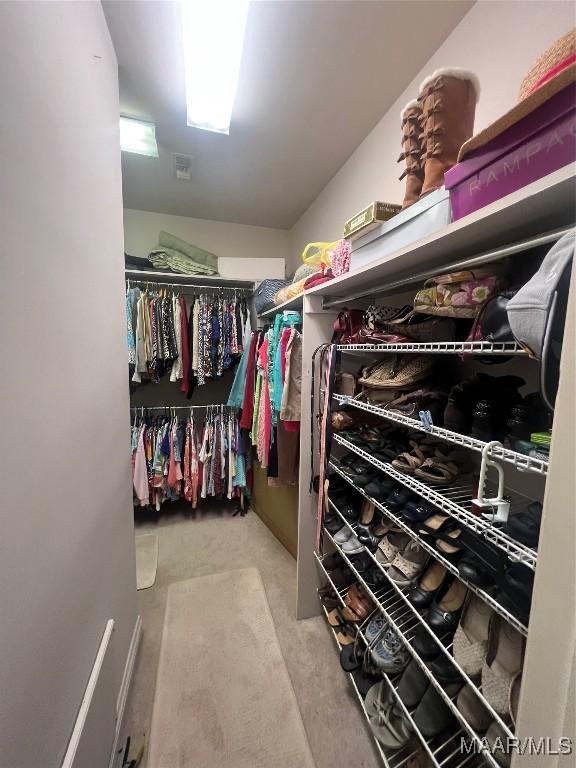 view of walk in closet