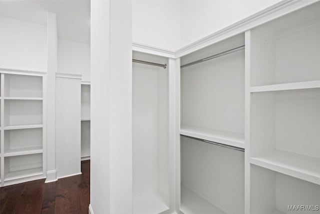 spacious closet with dark hardwood / wood-style floors