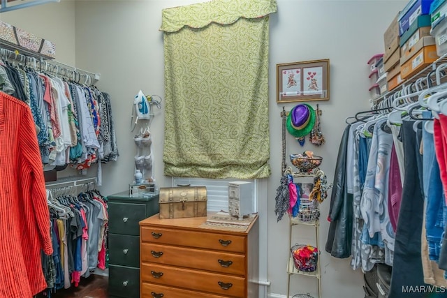 view of spacious closet