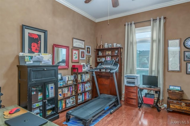 workout area featuring ceiling fan, ornamental molding, and hardwood / wood-style floors