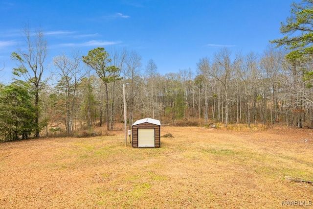 view of yard with a storage unit