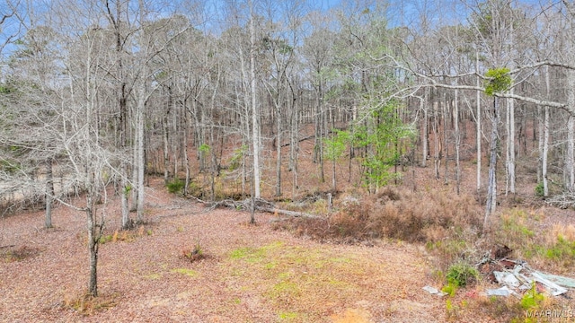 view of local wilderness