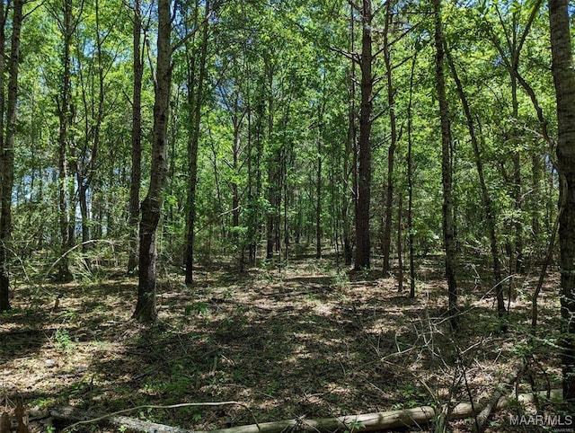 0 Hope Rd, Wetumpka AL, 36092 land for sale