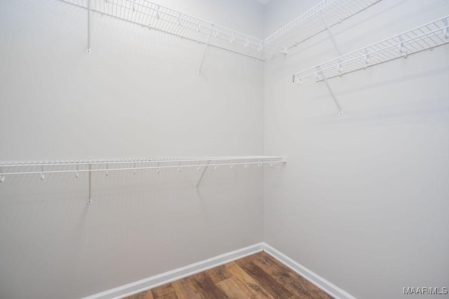 spacious closet with hardwood / wood-style floors