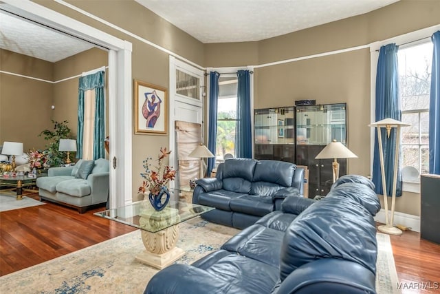 living room featuring wood-type flooring and a textured ceiling