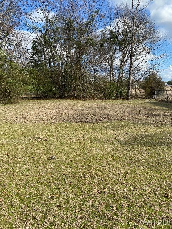 601 County Road 40th Rd W, Prattville, AL 36067 - photo 4