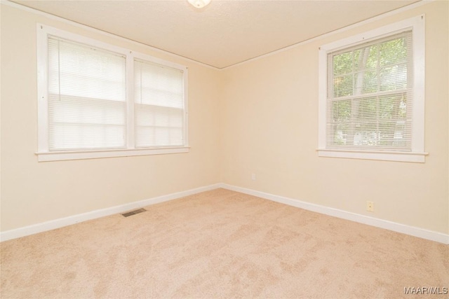 spare room with light carpet