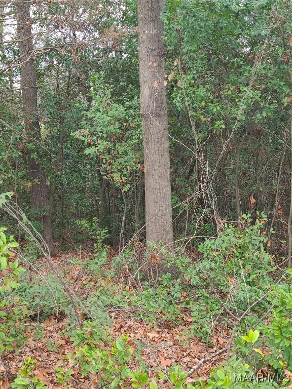 0 Pinecrest St, Prattville AL, 36067 land for sale