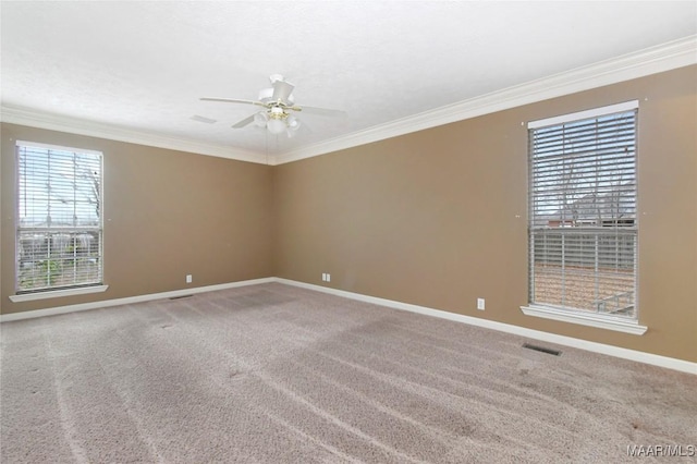 empty room featuring crown molding, ceiling fan, and carpet