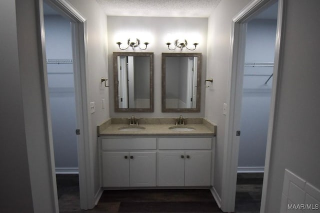 6515 Redland Rd, Wetumpka, AL 36093 - bathroom featuring a sink, a walk in closet, and wood finished floors