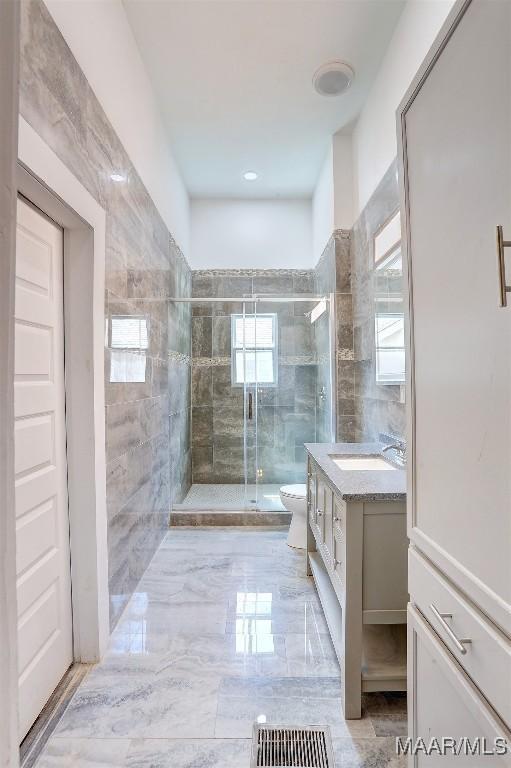 bathroom featuring vanity, toilet, a shower with door, and a wealth of natural light