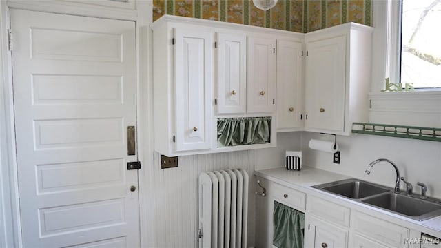 clothes washing area with radiator and sink