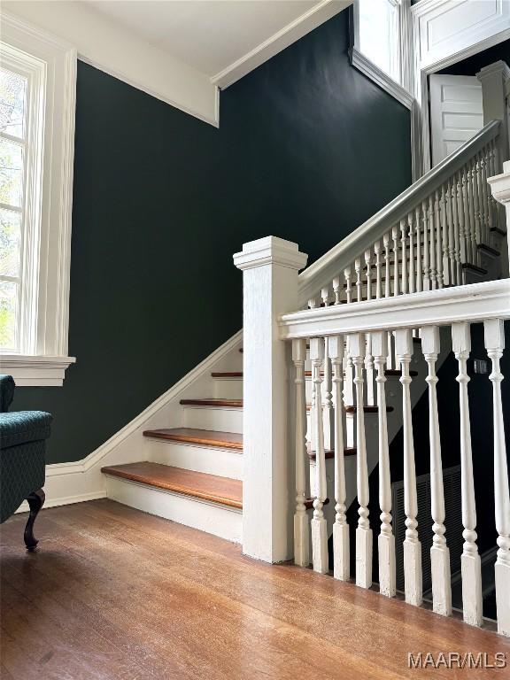 stairs featuring wood-type flooring