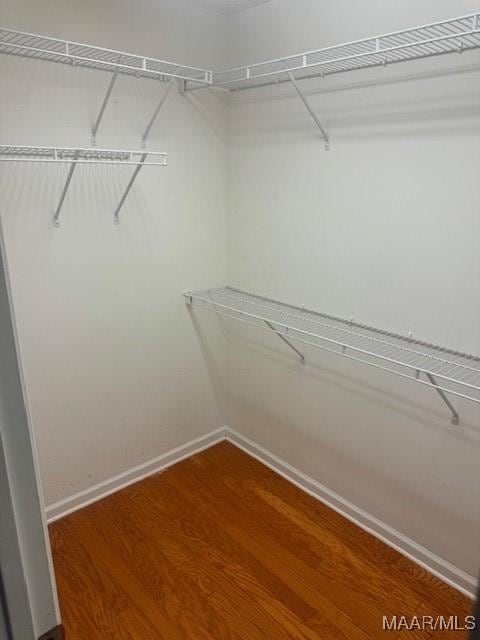 walk in closet featuring hardwood / wood-style floors