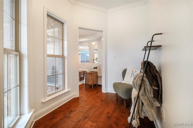 living area with crown molding and dark hardwood / wood-style floors