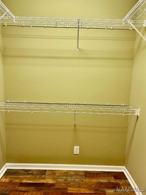 spacious closet featuring dark wood-type flooring