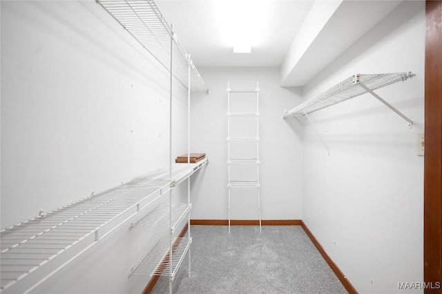 120 Willow Ln, Wetumpka, AL 36092 - walk in closet with carpet flooring